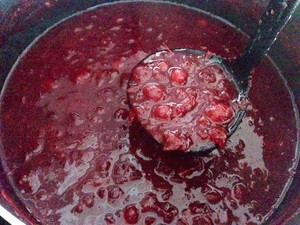 The tendril of whole fruit jumps over berry sauce (thanksgiving turkey matchs sauce & to spit department to wipe sauce general) practice measure 5
