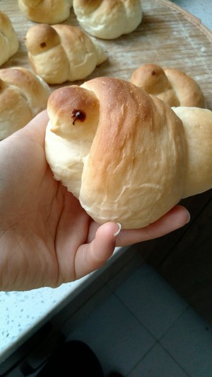 The practice measure of old biscuit of small yellow duckling 17