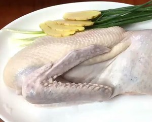 Lemon cuts duck in vain, the practice measure of another version of citric duck 1