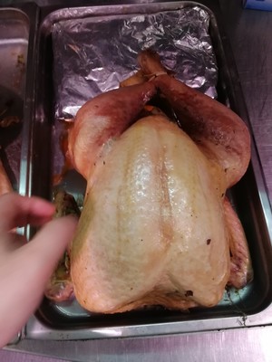 The practice measure that microtherm bakes thanksgiving turkey slow 5