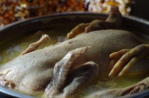 The practice measure of duck of appetizing lemon white behead 2