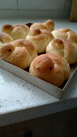 The practice measure of old biscuit of small yellow duckling 13