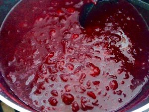 The tendril of whole fruit jumps over berry sauce (thanksgiving turkey matchs sauce & to spit department to wipe sauce general) practice measure 4