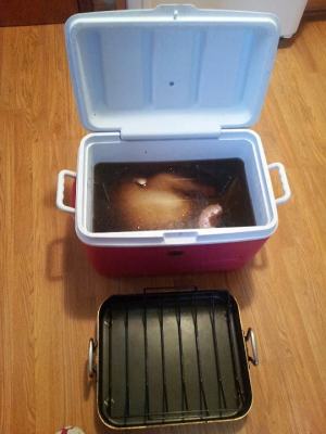 The practice measure of chicken of nurse a fire 3
