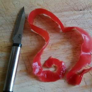The practice measure of tomato rose 2