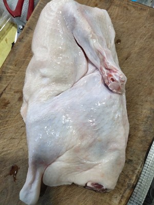 The practice measure of taro duck 1