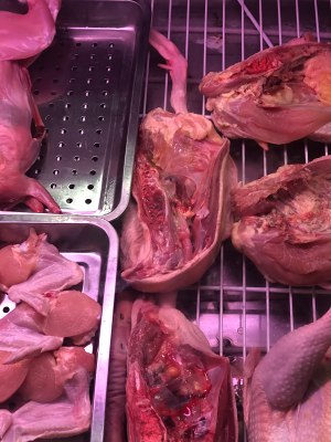 Plain sweet taro the practice measure of beer duck 1