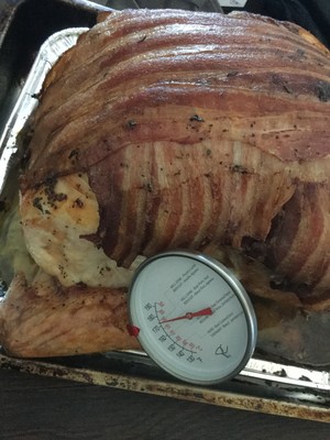 Chicken of thanksgiving nurse a fire (turkey wants how ability is not insipid) practice measure 18