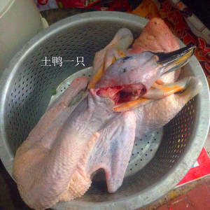 Q edition - Nanning drunk duck (edition of the daily life of a family) practice measure 1