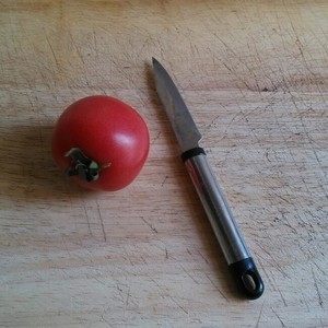 The practice measure of tomato rose 1