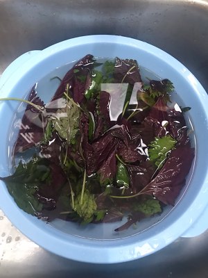 The practice measure of duck of purple perilla stew 3