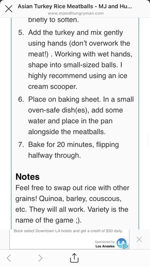 The practice measure of ball of rice of BLW turkey vegetable 4