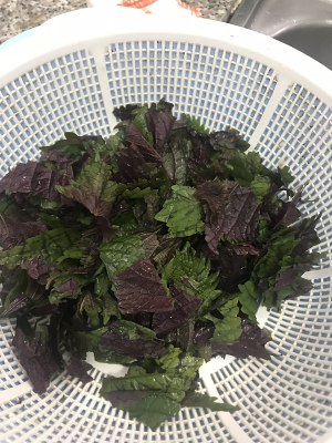 The practice measure of duck of purple perilla stew 4