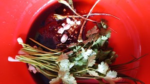 The practice measure of duck of    duck stew 2