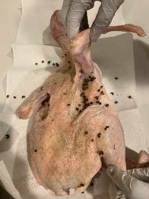 The practice measure of duck of tea of the five spices 2