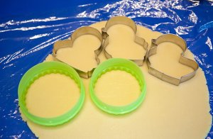 Stereo duckling the practice measure of candy frost biscuit 10