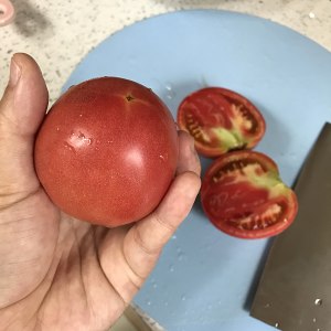 Tomato scrambles egg the practice measure of quick worker of the daily life of a family 4