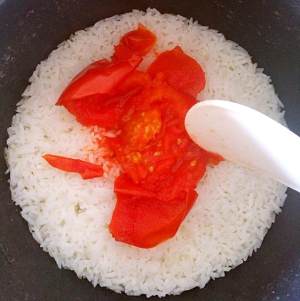 The practice measure of whole tomato meal 6