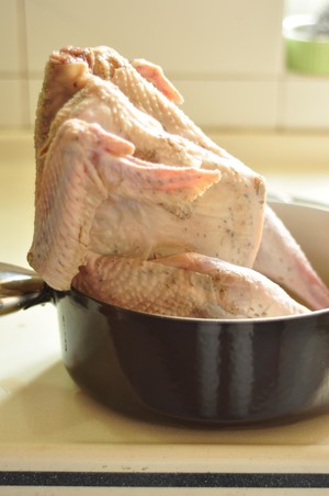 The practice measure of chicken of Christmas nurse a fire 2