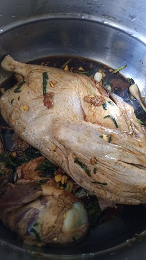 The practice measure of duck of    duck stew 7