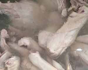 The practice measure of soup of duck of wintry ungual the seed of Job's tears 2