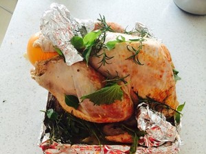 The practice measure of chicken of Christmas nurse a fire 5