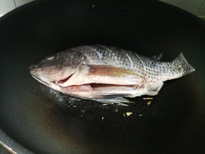 トマトの魚の実習は非難を集める3