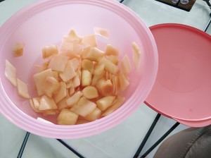 Acerbity child the practice measure of ginger stew duck 3