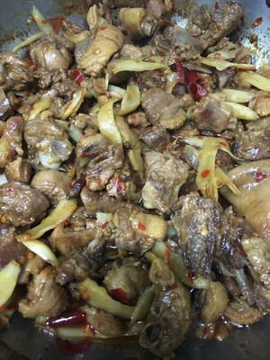 Ginger explodes duck (0 failure) practice measure 12