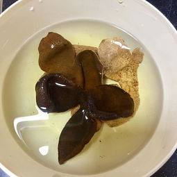 The practice measure of duck of appetizing dried tangerine or orange peel 1