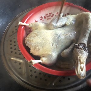 The practice measure of duck of white behead of long lowing the Hakkas 1