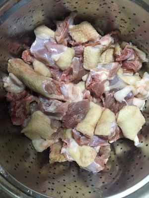 The practice measure of taste duck 1
