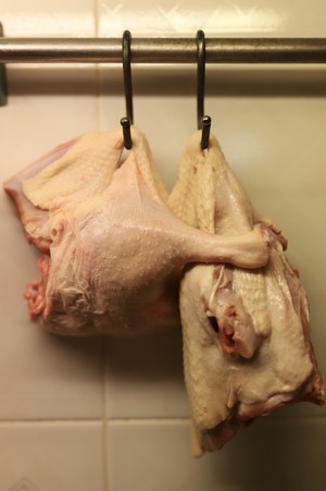 The practice measure that column of vast seat of government awaits sauce    duck 1