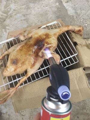 The practice measure of duck of young ginger beer 1