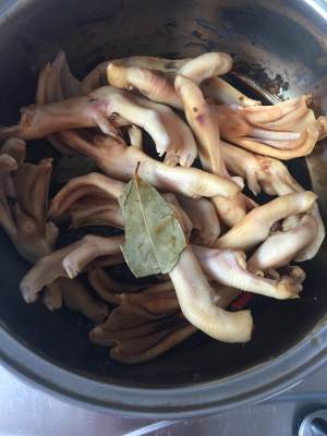 The practice measure of claw of duck of wing of duck of ～ of ～ of ～ of week coot flavour 3
