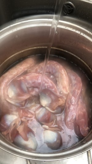 Duck of wing of duck of neck of week coot duck the practice measure of edition of all family of boiler of ～ high pressure 1