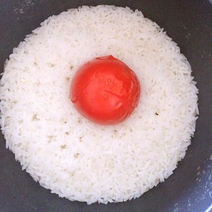 The practice measure of whole tomato meal 5