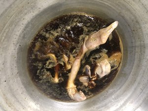 The practice measure of duck of 3 cups of dried tangerine or orange peel 2