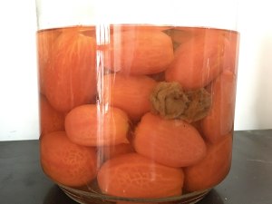 Appetizing bit -- the practice measure of word plum small tomato 6