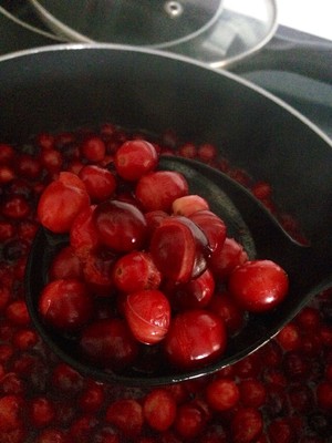 The tendril of whole fruit jumps over berry sauce (thanksgiving turkey matchs sauce & to spit department to wipe sauce general) practice measure 2