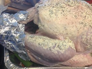 Chicken of thanksgiving nurse a fire (turkey wants how ability is not insipid) practice measure 15