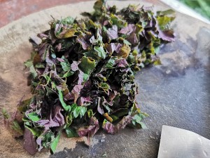 The practice measure of duck of stew of Chi of purple perilla beans 2