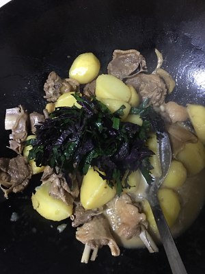 Duck flesh two feed (duck of duck of stew of potato purple perilla, dry stir-fry before stewing) practice measure 29