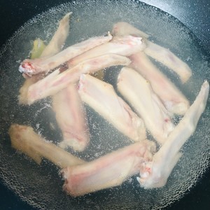 The practice measure of wing of duck of coot gust bittern 4