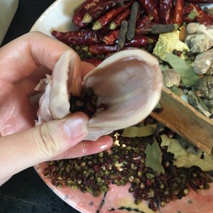 Head of oily bittern duck (duck braincase) practice measure 1